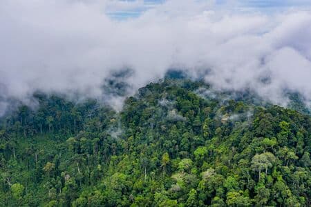 biodiv_photo_2